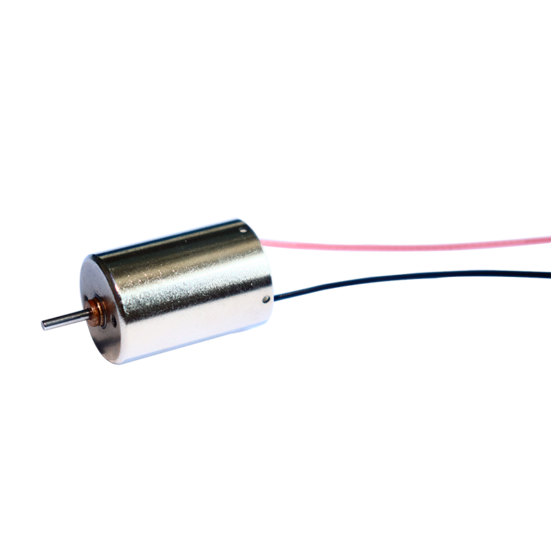 16mm Rega Metal Brush DC Motor